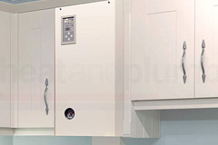 Ringtail Green electric boiler quotes