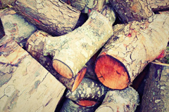 Ringtail Green wood burning boiler costs